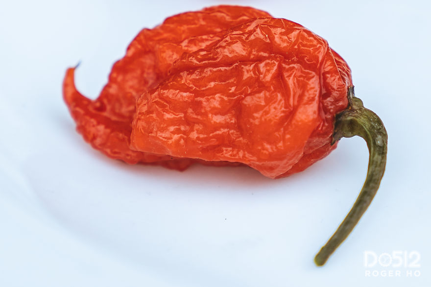 In Exchange For Eating Hottest Peppers On Earth, This Restaurant Donated $23,750 To Charity