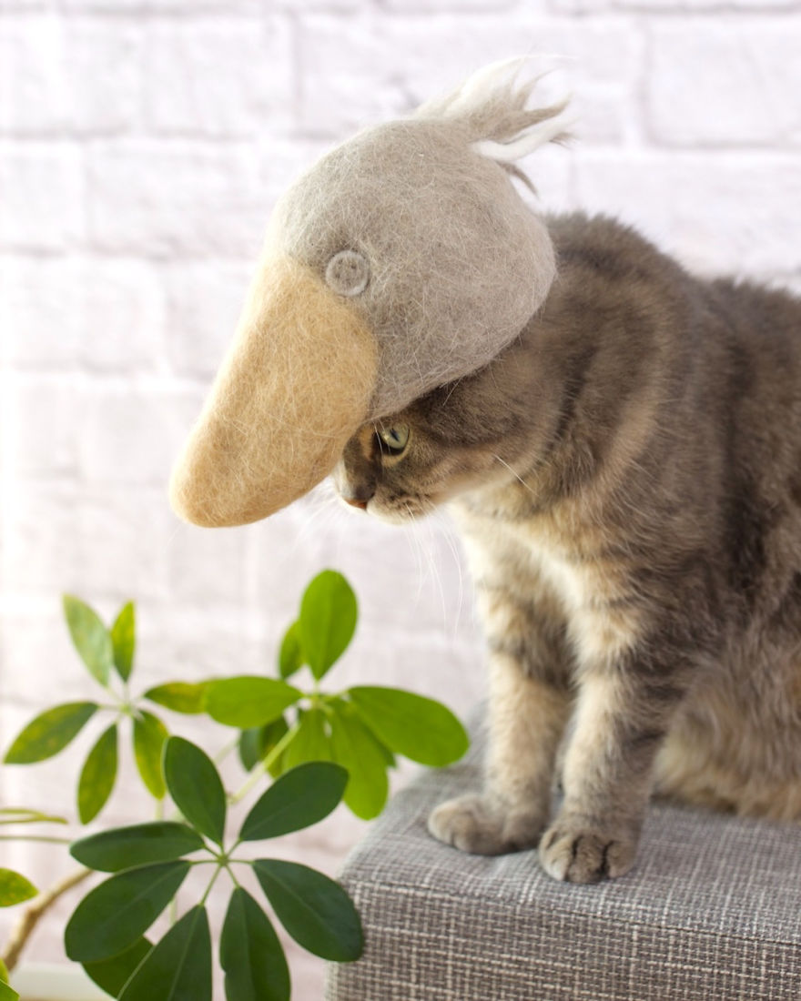 Japanese Couple Makes Hats For Their Cats Using Their Own Hairs And The Result Is Adorable