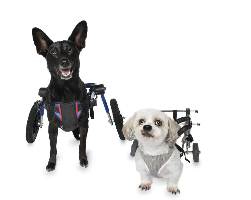 Reuben And Keisha In Their Wheelchairs