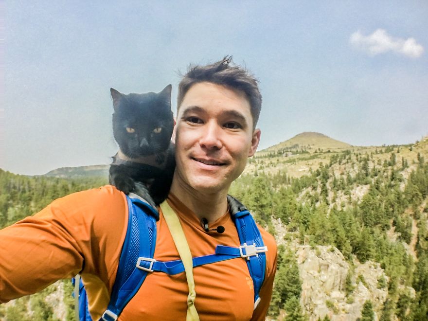 Meet Simon, Who Has Been Traveling With His Human For Two Years