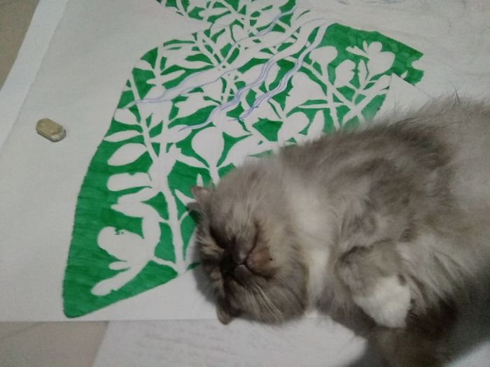 When I Want To Finish My Drawing, But This Guy Decide To Sleep On The Paper,