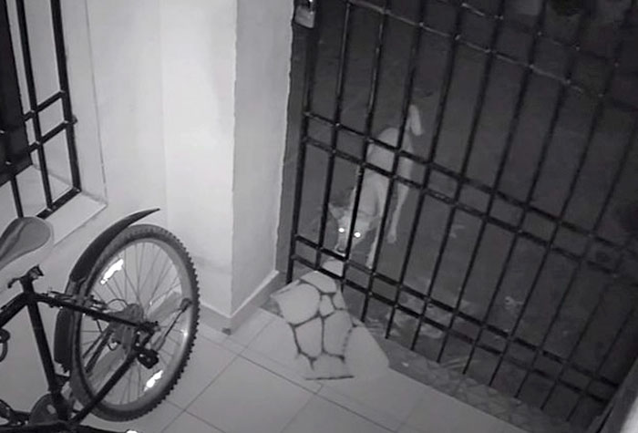 Guy Installs Secret Camera To Catch The Thief That Keeps Stealing His Things, Can't Believe His Eyes