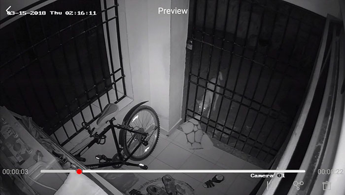 Guy Installs Secret Camera To Catch The Thief That Keeps Stealing His Things, Can't Believe His Eyes