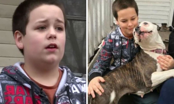 Thief Makes A Huge Mistake Breaking Into Home Where 9-Year-Old Boy Lives