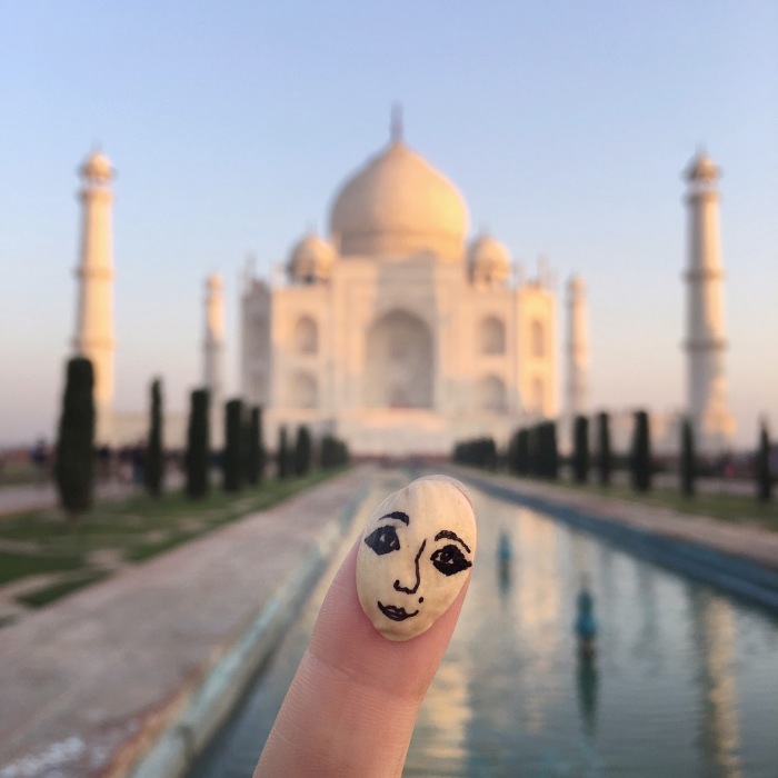 Pisface – Art Abandonment Project Of Travelling Pistachio Face