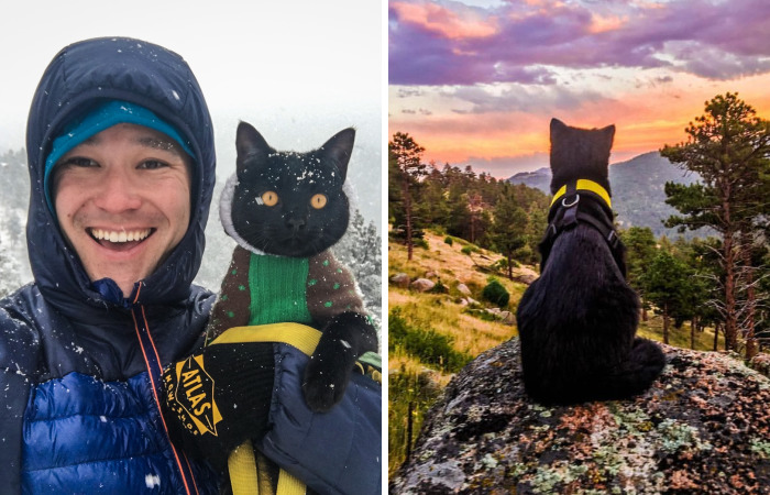 Meet Simon, Who Has Been Traveling With His Human For Two Years