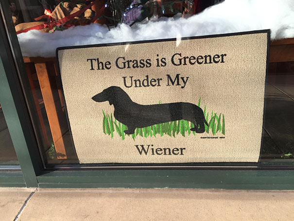 I Found A Pet Shop With This In The Window
