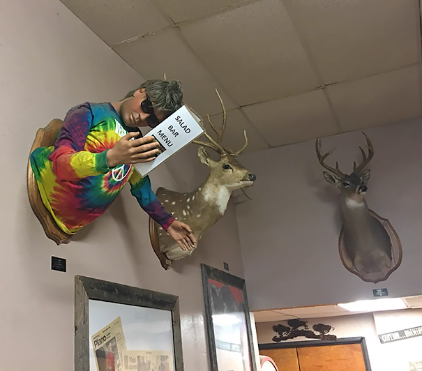 They Mounted A Vegan To The Wall At My Local Butcher Shop