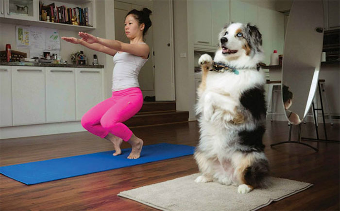 Yogi Practicing Together With Her Dog