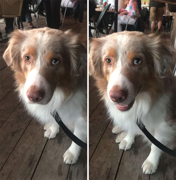 Before And After Finding Out He’s A Good Boy