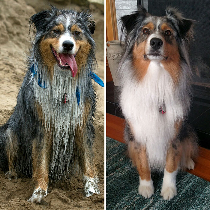 After Beach And After Bath