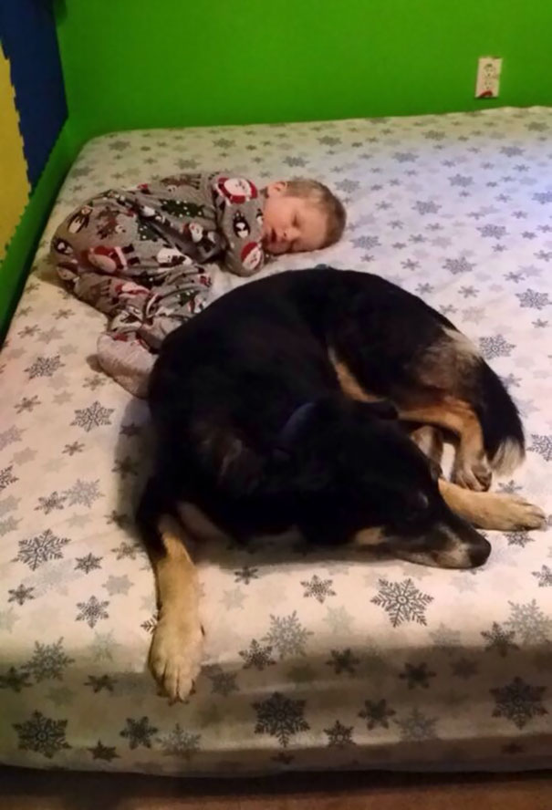 My Son Has Epilepsy And Bear Comforts Him After A Seizure And "Watches" Him
