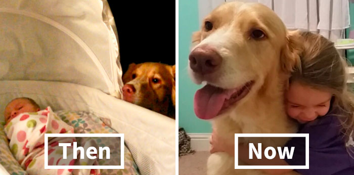 If You Don’t Think Your Kids Need A Dog After Seeing These Pics, You Must Be A Cat