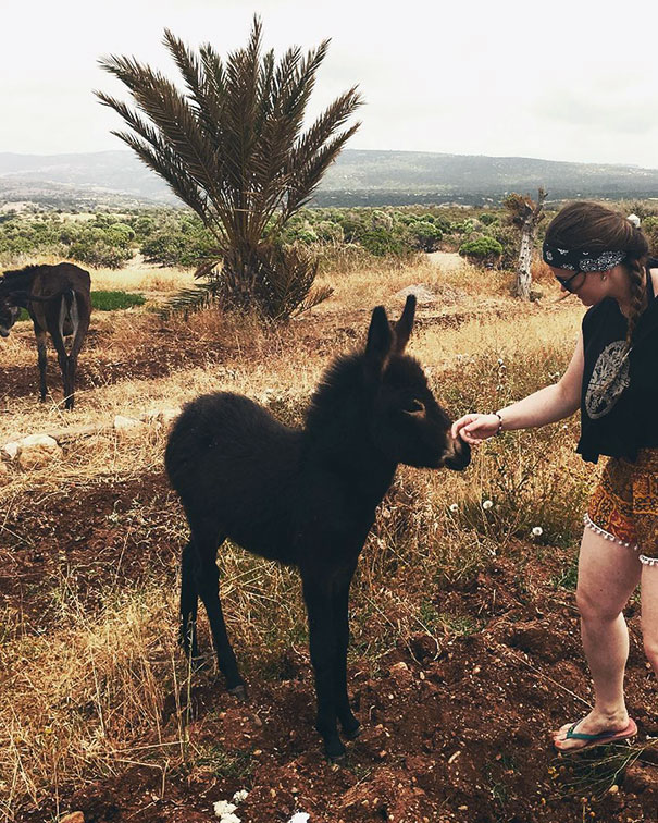 Today We Went On A Quad Safari To See A Beautiful Untouched Area Of Cyprus And Came Across A Stunning Farm Which Was Home To This Friendly Little Fella
