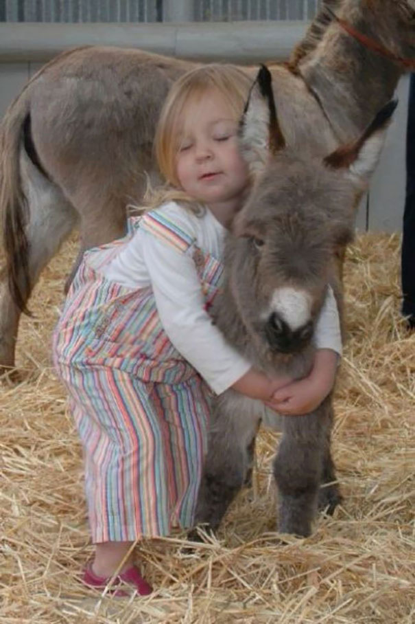 Girl With Her Baby Donkey Friend