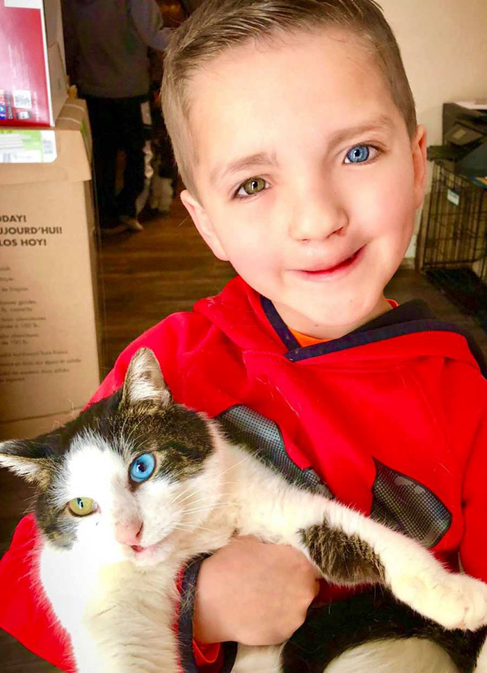 Bullied 7 Year-Old Finds Cat With Same Rare Eye Condition And Cleft Lip, And It's Like Destiny Exists