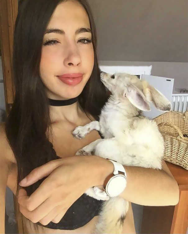 Vegan Woman Forced Her Fennec Fox To Go Vegan, And Heres What Happened 2
