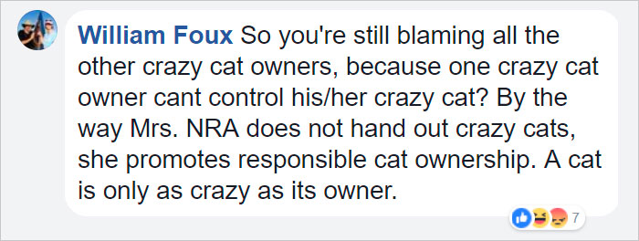 Animator Brilliantly Explains The Gun Control Debate Using Cats