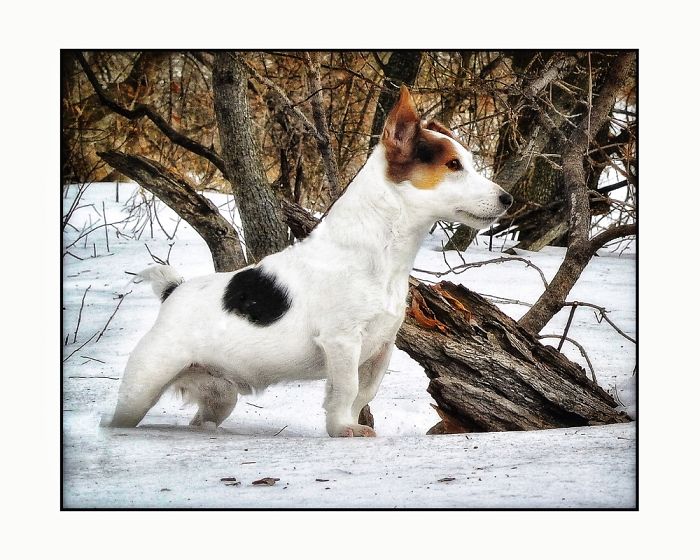 Newman In The Snow