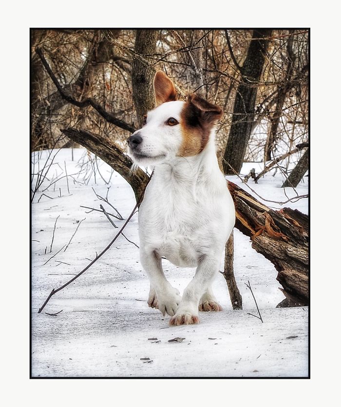 Newman In The Snow
