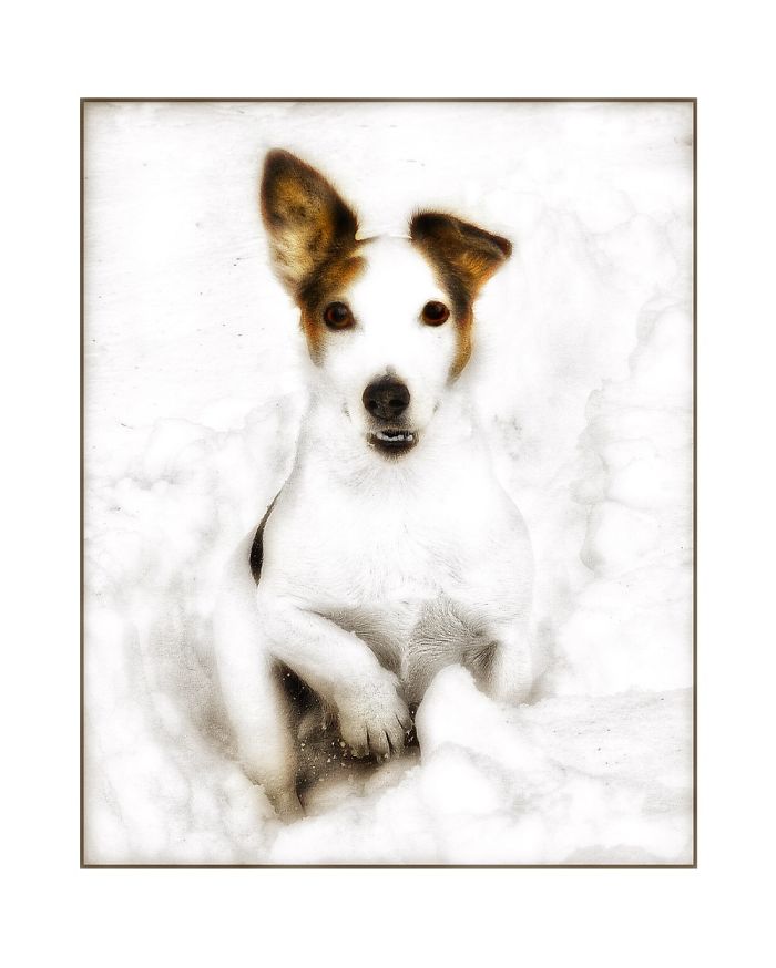 Newman In The Snow