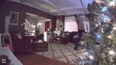 Trying To Impress My Wife With New Overpriced Smart Bulbs, Forgot Our Security Cam Was Recording