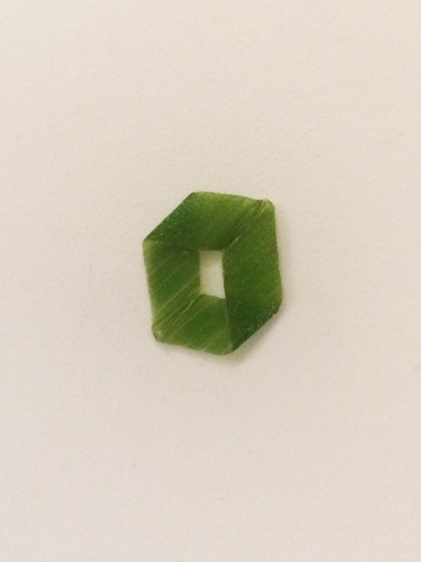 This Flattened Piece Of Green Onion Looks Like A 3D Box