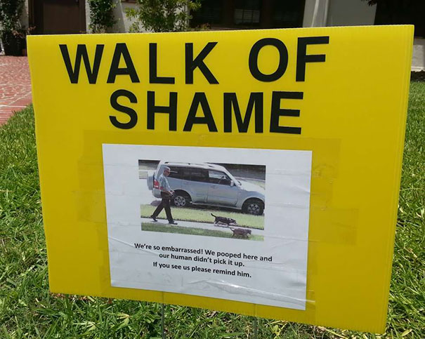 The Sign Posted In Our Yard In The Fight Against Unwanted Dog Poop