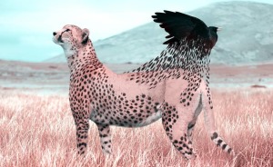 French Artist Cleverly Uses Photoshop To Create Fantastical Animals, And The Result Is Amazing