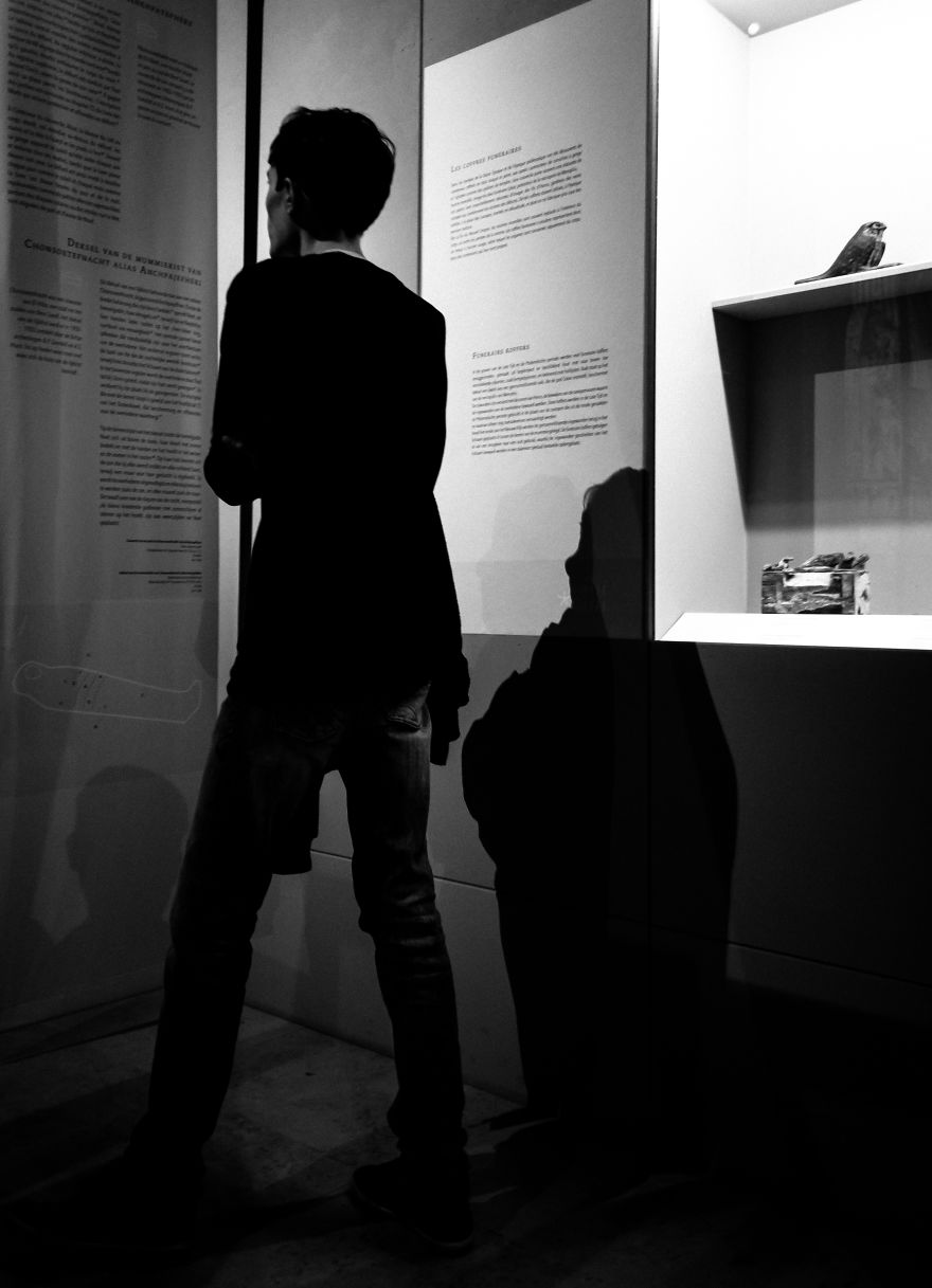 Light & Shadow