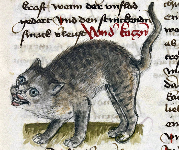 ugly-medieval-cats-art-112-5aafb7efce958__700.jpg