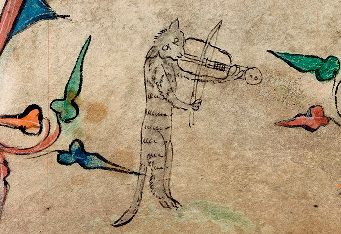 Because Why Shouldn't A Cat Be Playing A Stringed Instrument?