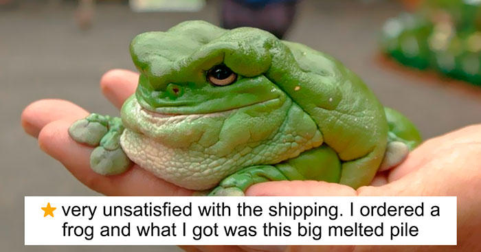 Zoos Are Posting Hilarious Amazon-Like Reviews Of Their Animals, And We Can’t Get Enough