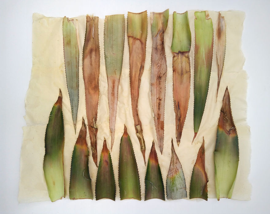 I Made These Assemblages Out Of A Pineapple