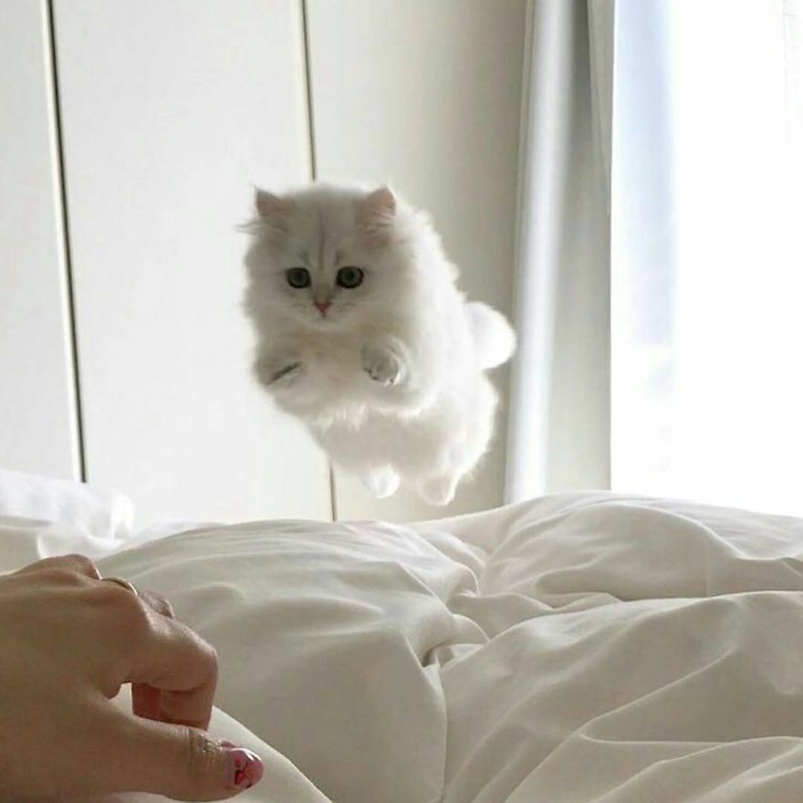 哈哈哈哈