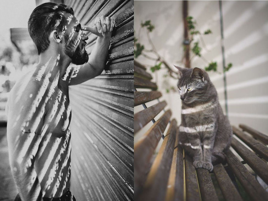 20+ Hilarious Photos Of Male Models And Cats Striking The Same Poses