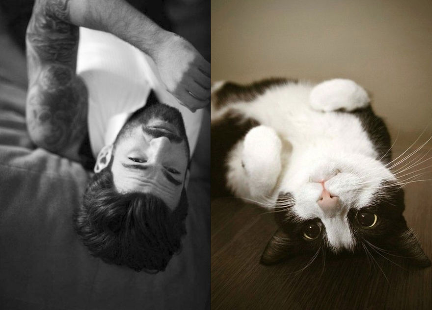 20+ Hilarious Photos Of Male Models And Cats Striking The Same Poses