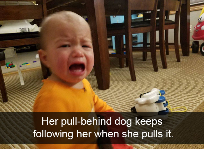 Her Pull-Behind Dog Keeps Following Her When She Pulls It