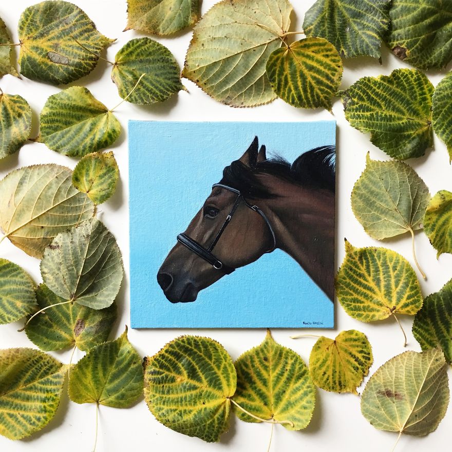 365 Horse Portraits In 365 Days