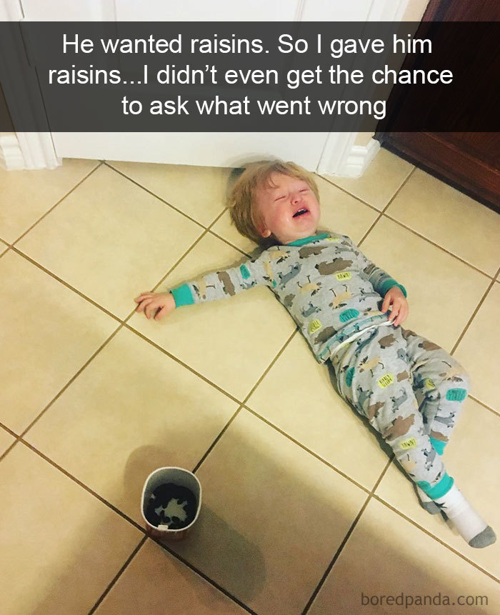 He Wanted Raisins. So I Gave Him Raisins... I Didn’t Even Get The Chance To Ask What Went Wrong