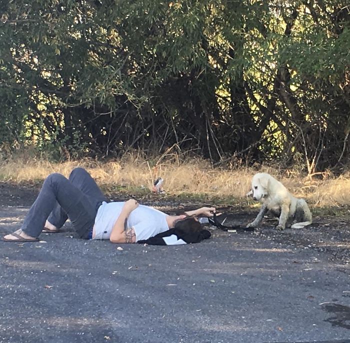 My Husband Trying To Coax A Stray Pup We Saw On The Side Of The Road To Trust Him Enough For A Collar+Leash. We Figured Showing Belly Would Help