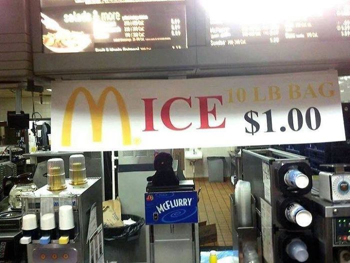 Would Anyone Like A Bag Of Mice?