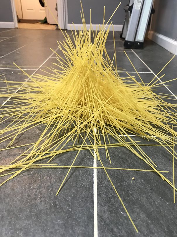 I Dropped A Box Of Spaghetti On The Ground And Accidentally Graduated From Art School