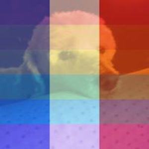 paulalynnerose avatar