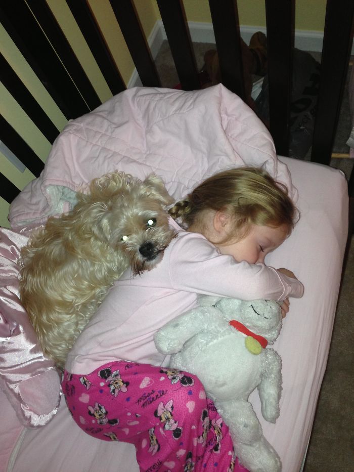 My Daughter Was Sick And Our Dog Wouldn't Leave Her Side