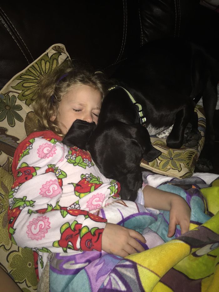 My Daughter Has Been Sick Over Thanksgiving. The Dog Hasn’t Left Her Side. This Is How I Found Them When I Got Home Tonight