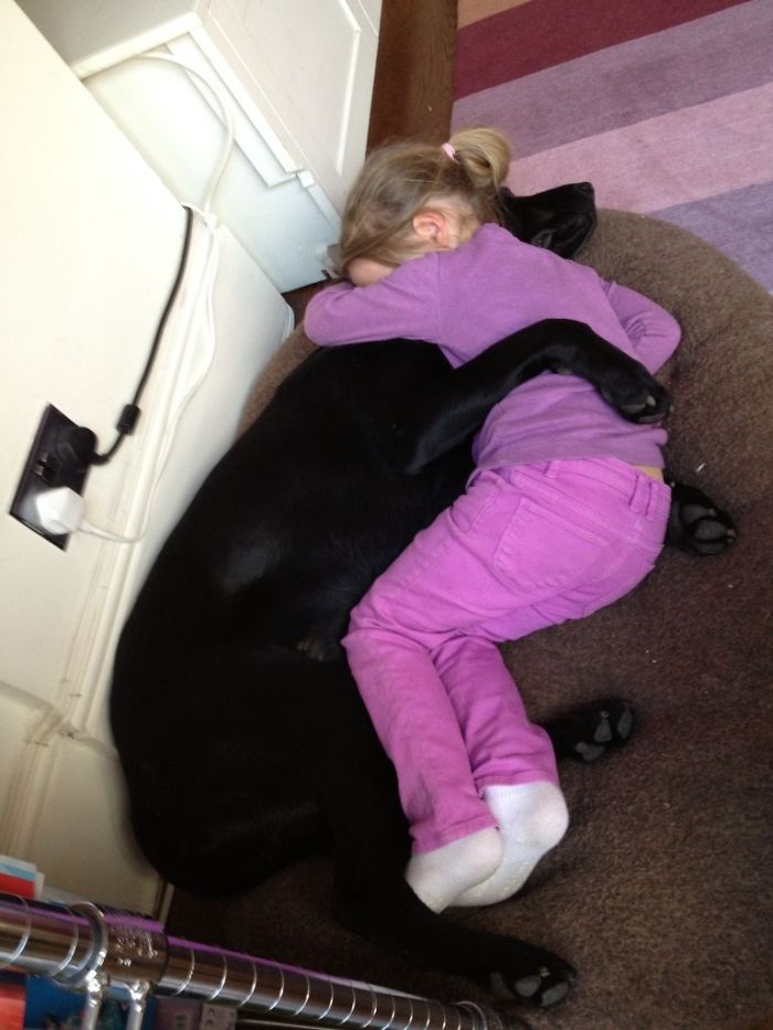 When She Comes Home From A Long Day At School, Having A Bad Day, Been Told Off Or Sad. Her Best Friend Is Here For Her