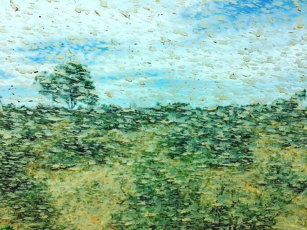 Mud Spatters On The Car Window Created An Accidental Monet On My Friend's Outback Road Trip
