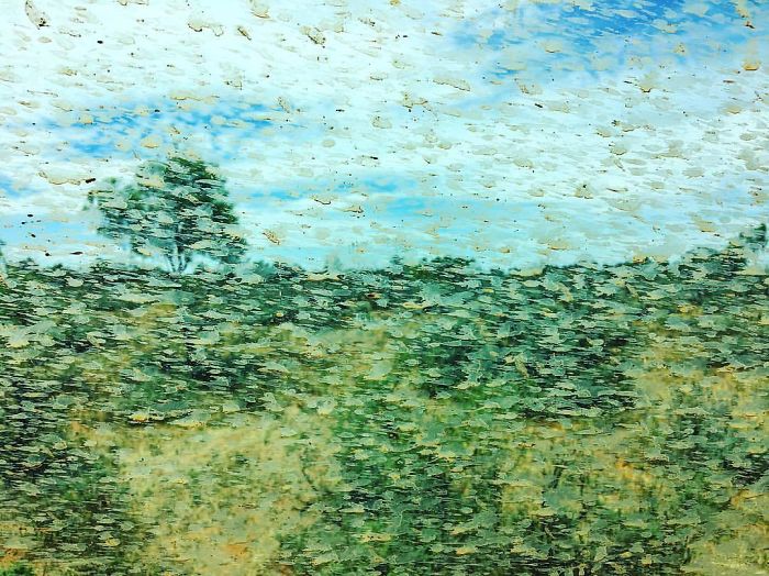 Las salpicaduras de barro en la ventanilla han creado un cuadro de Monet accidental
