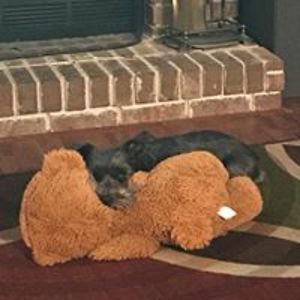 evilmomlady2003 avatar